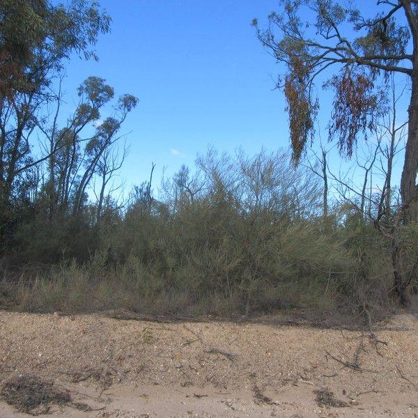 #24 Arnolds  Road, QLD 4421