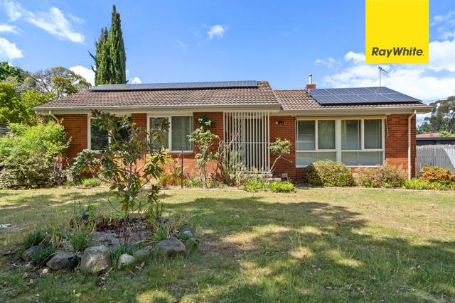 36 Cotton Street, ACT 2602