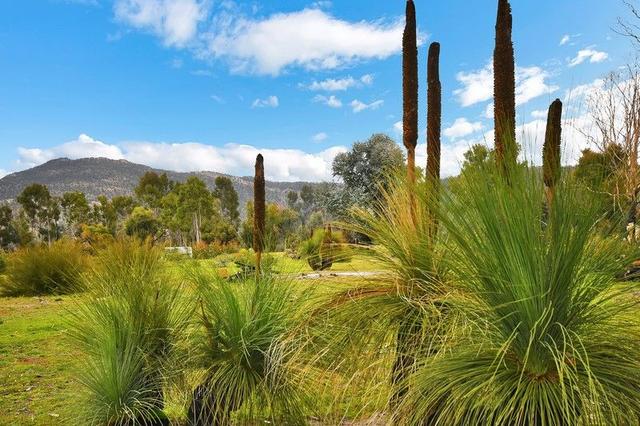 57 Wildflower Dr, VIC 3381