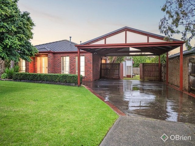 17 Hooper Drive, VIC 3977