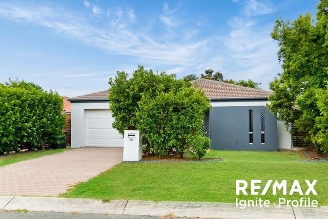 56 Kakadu Street, QLD 4115
