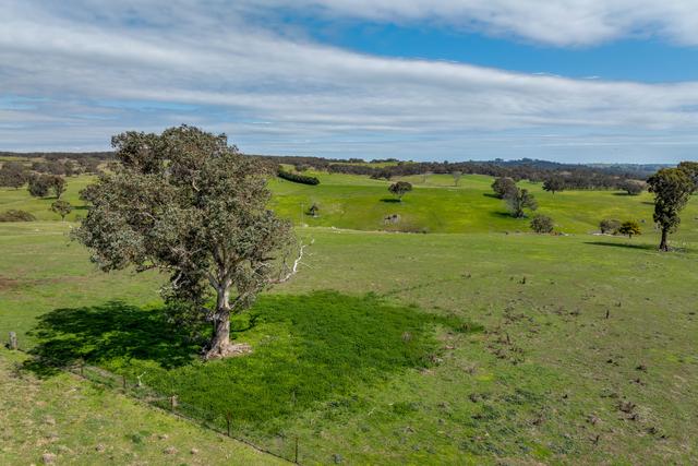 858 Sylvia Vale Road, NSW 2583