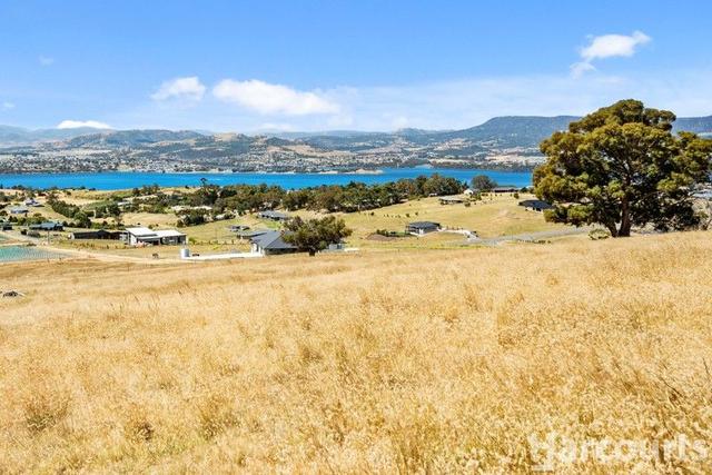 Lot 1, 2 & 3/195 Black Snake Road, TAS 7030