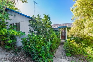 Frontyard