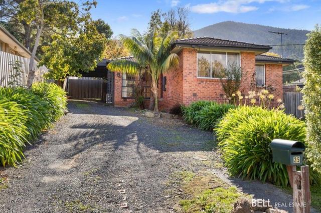 25 Patrick Street, VIC 3799