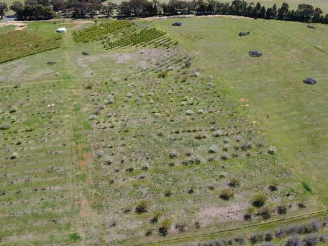 264 Scenic Road, NSW 2594