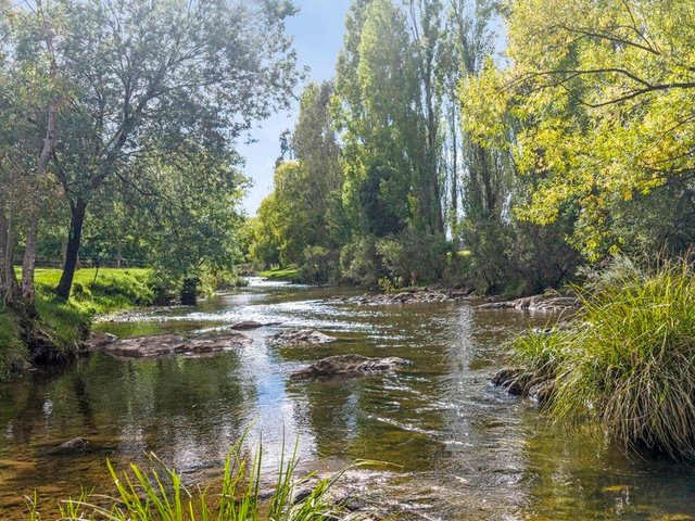 443 Howes Creek-Goughs Bay Road, VIC 3723