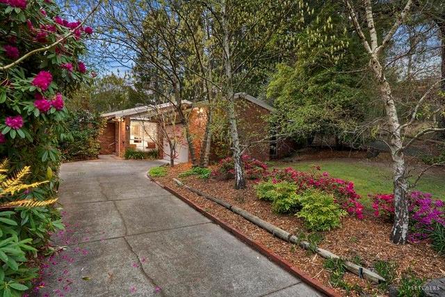 3 Forest Court, VIC 3134