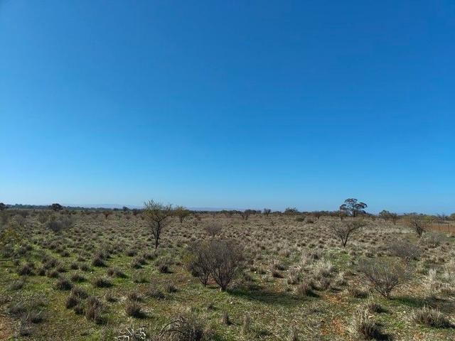 Lot 213/null Duhring Road, SA 5485