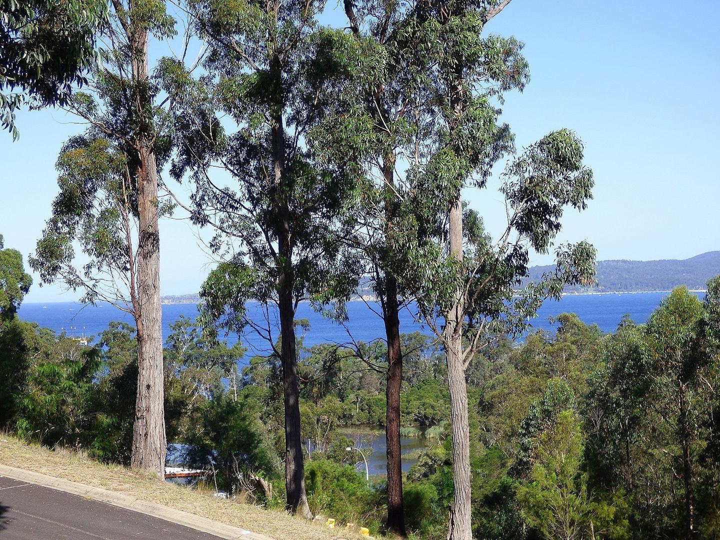 7 Whale Cove Circuit, Eden NSW 2551 Allhomes