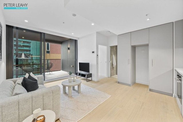 213/121 Cardigan Street, VIC 3053