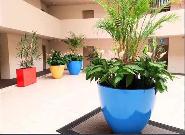 203/62 Lightsview Ave, SA 5085