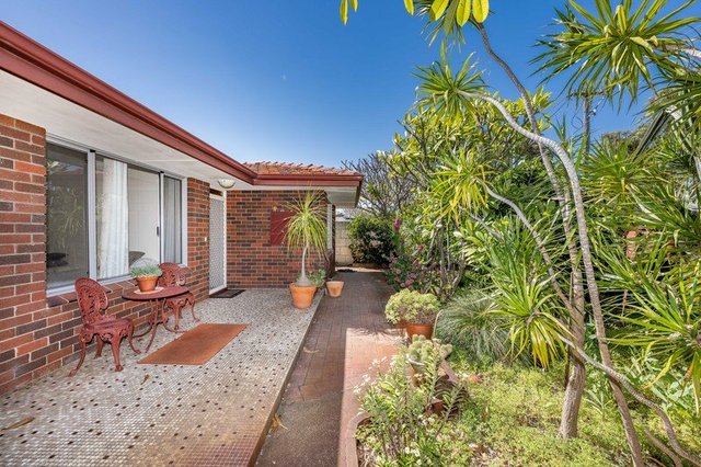 482 Karrinyup  Road, WA 6018