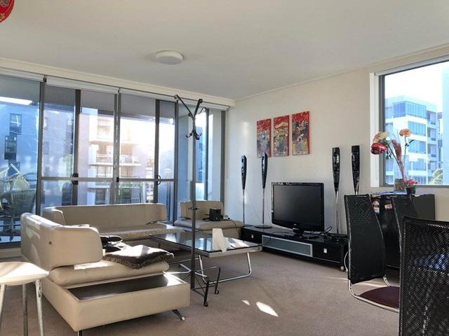 501/14 Sevier St, NSW 2138