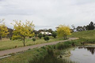 Main Photo