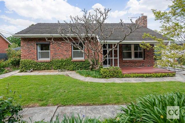 62 Langman  Grove, SA 5070