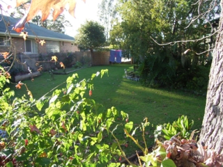 Yard (2007-07-09)