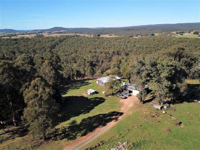 1796 Bendoc-Orbost Road, VIC 3888