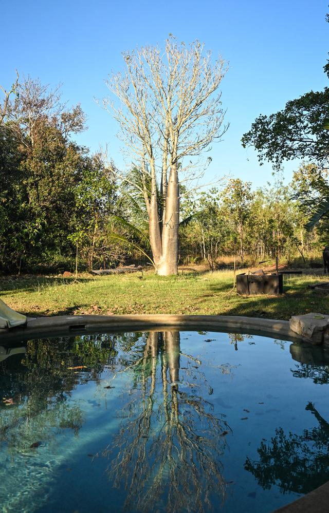 729 Reebeds Road, NT 0841