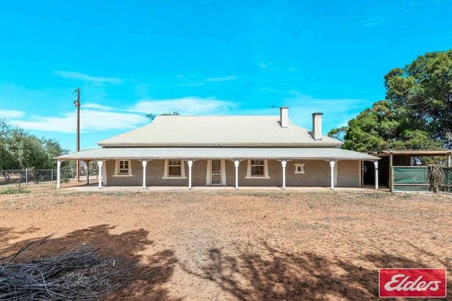 1236 Mallala Road, SA 5502