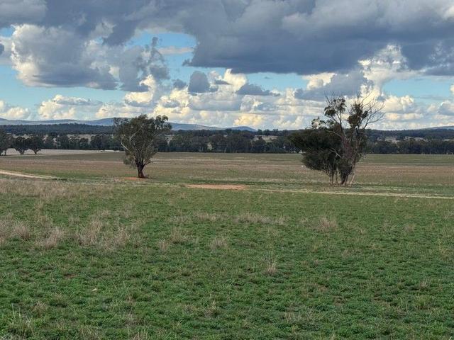 'Woodbine Park' 397 Mugincoble Lane, NSW 2870