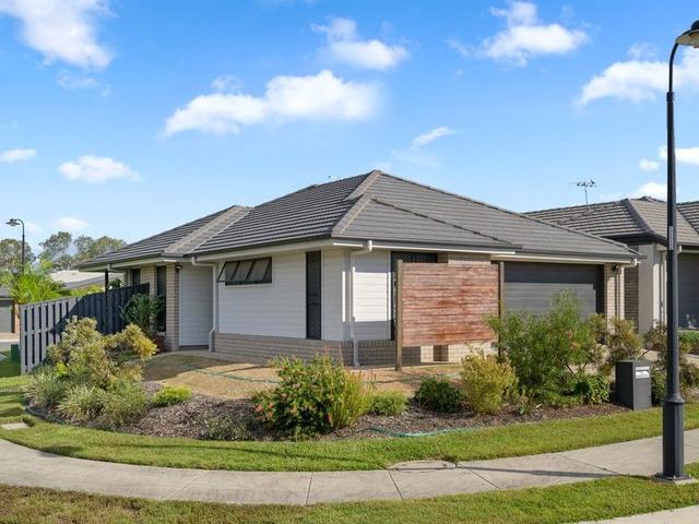 11 Wedgebill Circuit, QLD 4301