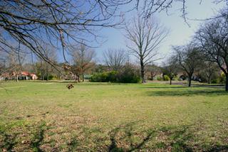 Park across road