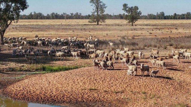 2633 Bruie Plains Road, NSW 2875