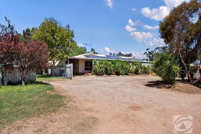 31 Melvin Terrace, Via Pinery, SA 5461