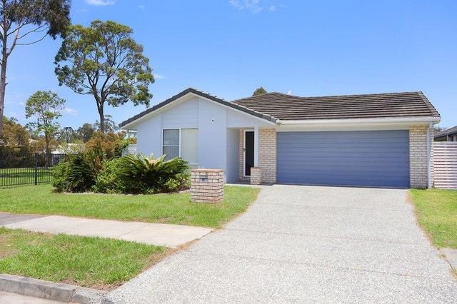 10 Collingrove Circuit, QLD 4209