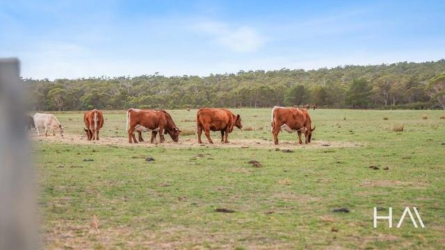 93 Douglas Road, TAS 7252