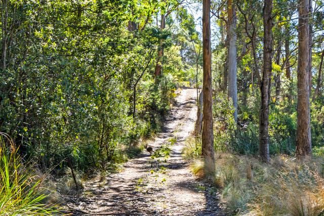 196 Alma Road, TAS 7190