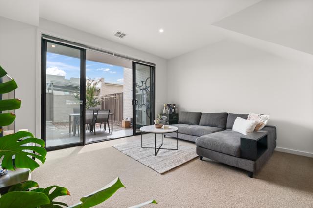 13 Pademelon Street, ACT 2914