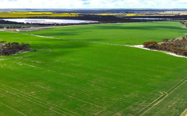 1994 Mallee Road, WA 6337