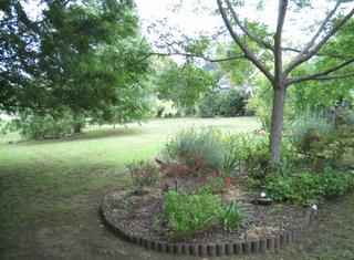 Garden (2007-12-24)