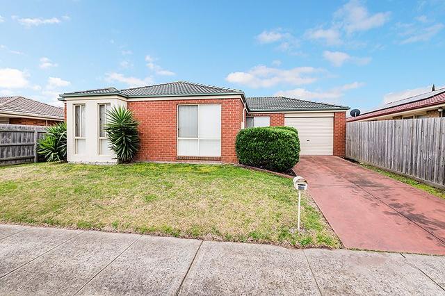 19 Amity Way, VIC 3977