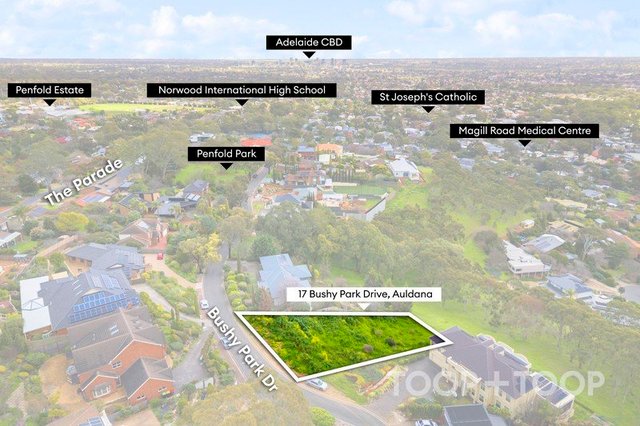 17 Bushy Park Drive, SA 5072
