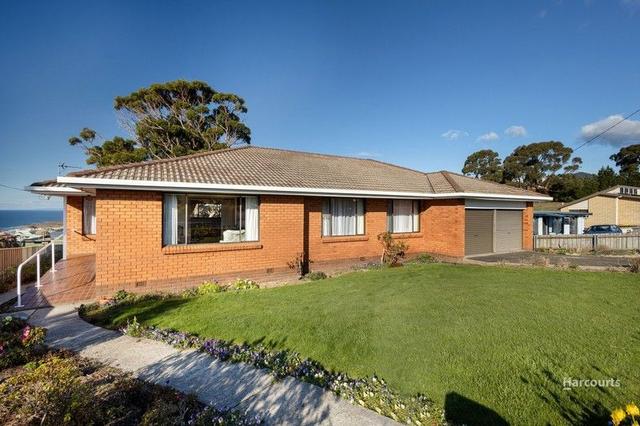 17 Pineleigh Street, TAS 7316