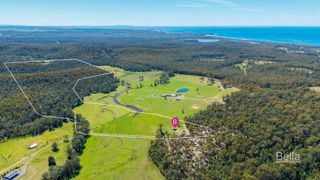 271 Lemon Tree Creek Road, NSW 2539