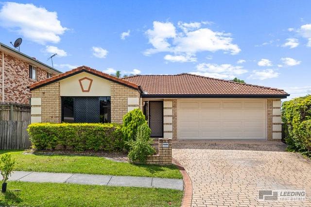 6 Joyce Crescent, QLD 4017