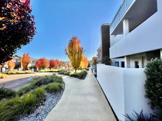 View of Street