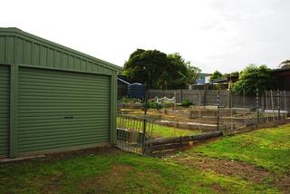 Standard Photo (2013-09-13)