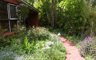 Garden (2003-10-31)