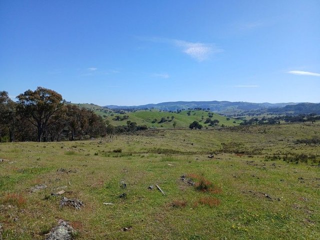 Lot 161 Eldridges Lane, NSW 2586