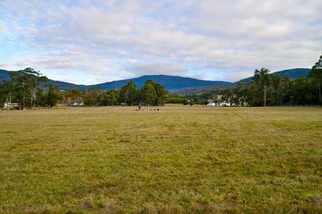45 Millers Road, TAS 7140