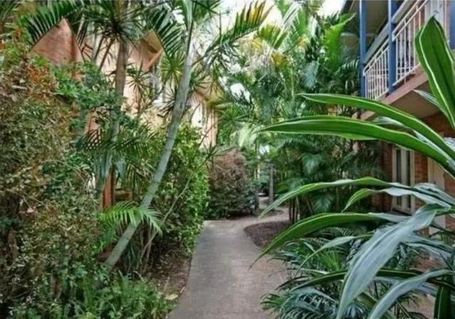 3/22 Little Jane Street, QLD 4101