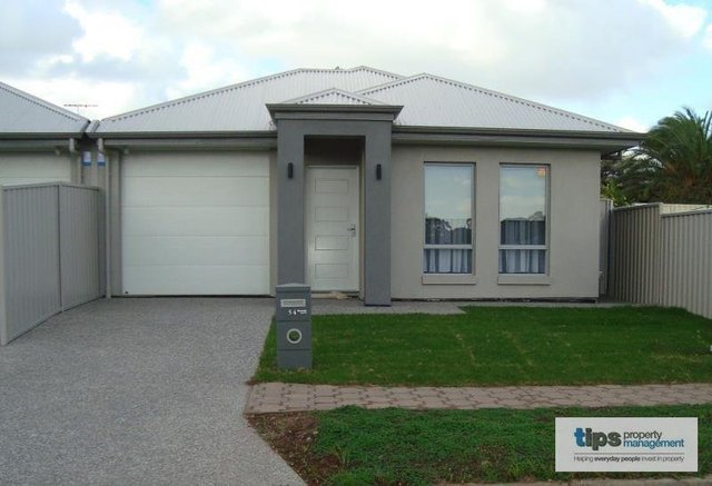54 Charmaine Avenue, SA 5093