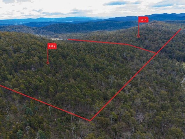 4&5/null Lilydale Road, TAS 7268