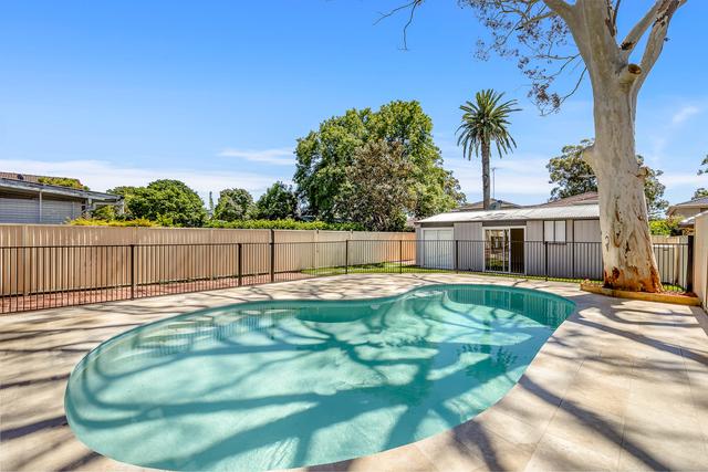 36 Arthur Street, NSW 2218