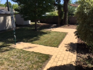 Garden (2016-03-20)
